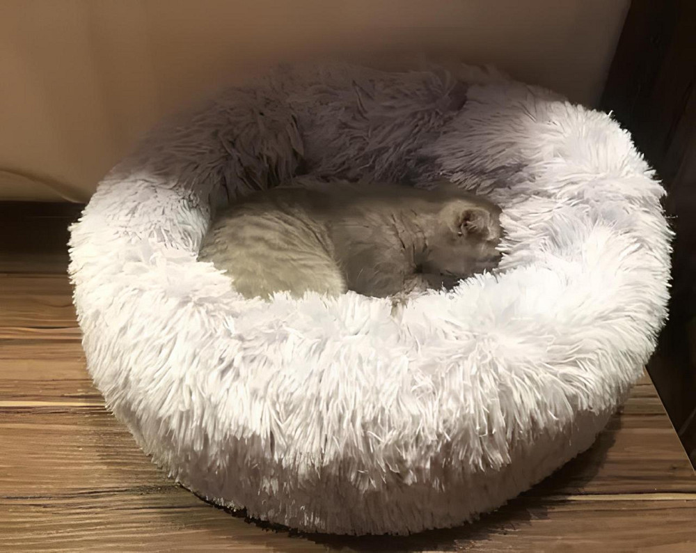 М’яке лежанка-ліжко для собак і котів RESTEQ 60 см — затишне спальне місце для вашого улюбленця Київ - фото 7