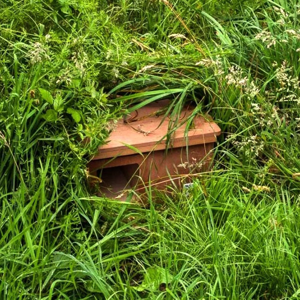 Будиночок для їжачків "Геррі" шафран Миколаїв - фото 4