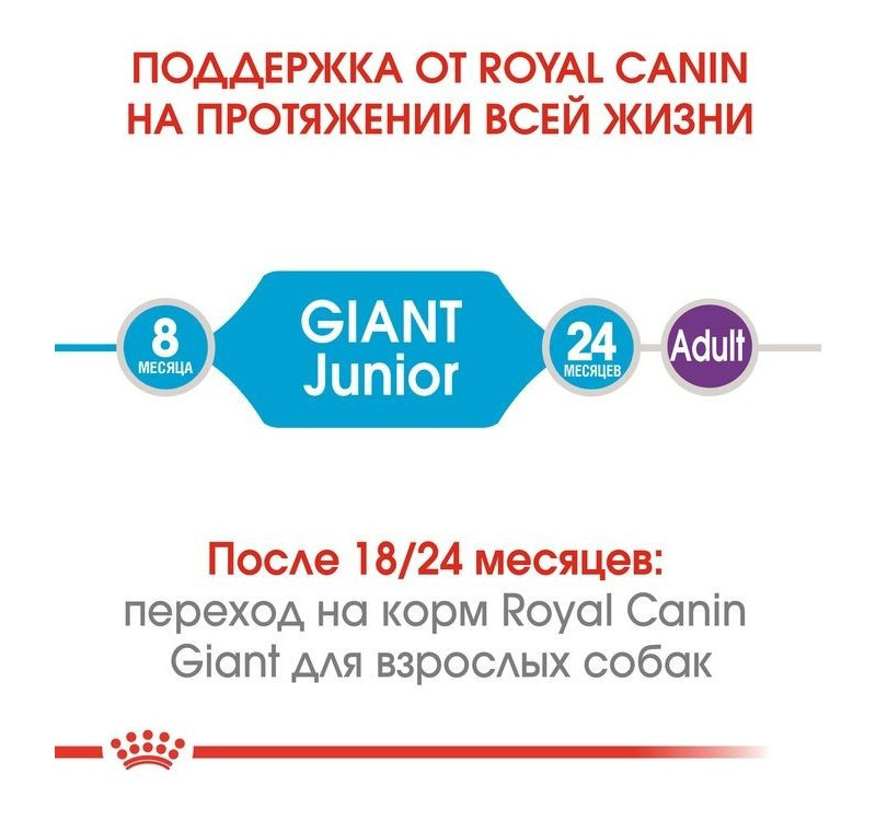 Ryal Canin Giant Junior (Роял Канін Джаїнт Джуніоро) сухий корм для цуценят гігантських порід від 8 місяців 15 кілограмів. Запоріжжя - фото 4