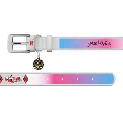 Ошейник для животных WAUDOG Design с QR паспортом "Харли Квинн" L Ш 25 мм Д 38-49 см белый (0025-1002-15) Винница