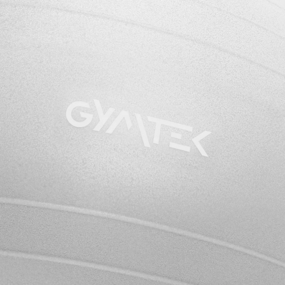 Фітбол Queenfit 65см сірий + насос Киев