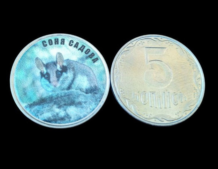 Україна 5 копійок монета нової серії ПРИРОДА УКРАЇНИ СОНЯ САДОВА Полтава - изображение 1