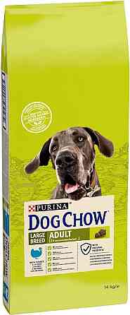 Сухий корм собак великих порід Dog Chow Adult Large Breed з індичкою, 14 кг Вінниця