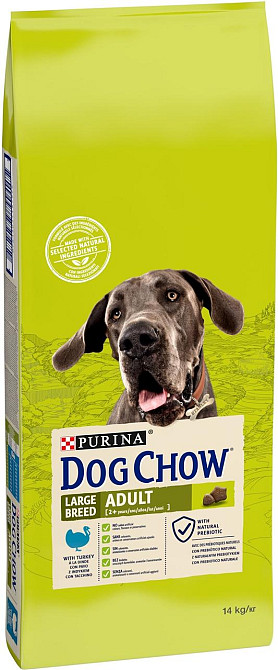 Сухой корм собак больших пород Dog Chow Adult Large Breed с индейкой, 14 кг Винница - изображение 1