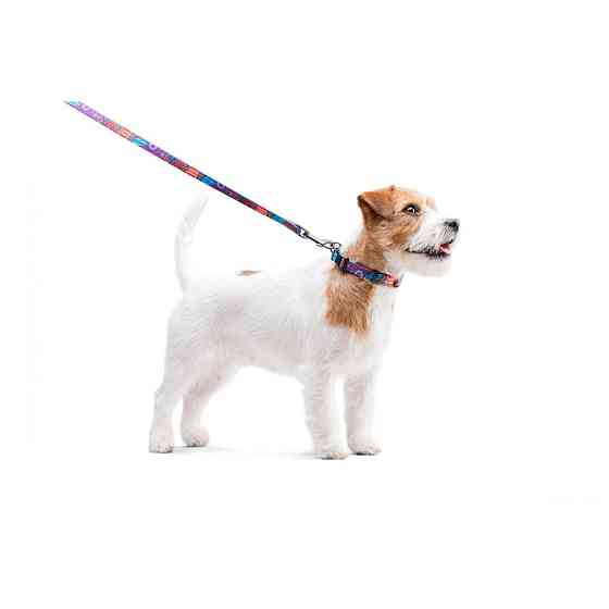 Повідець для собак нейлоновий WAUDOG Nylon, малюнок "Літо" , Ш 15 мм, Дов 122 см Коломыя