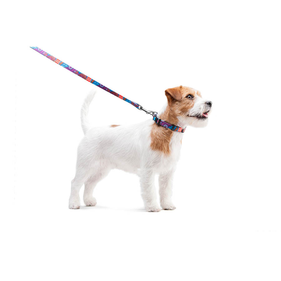 Повідець для собак нейлоновий WAUDOG Nylon, малюнок "Літо" , Ш 15 мм, Дов 122 см Коломыя - изображение 5