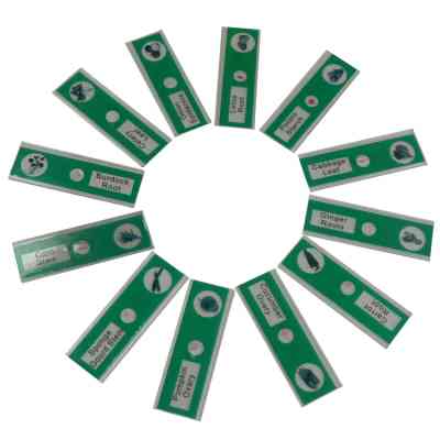 Набор микропрепаратов Sigeta Entrance Тканини рослинних організмів 12 шт (65124) Винница