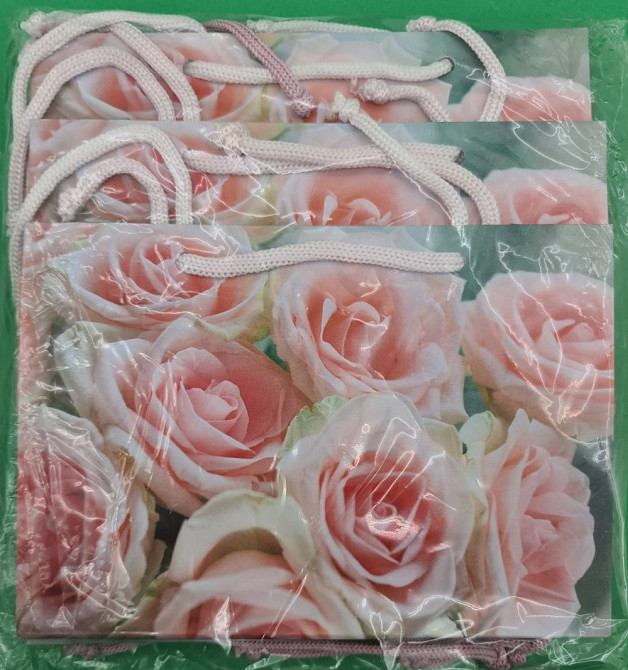 Пакет паперовий малий горизонтальний 11/18/5 (арт М027) (12 шт.) Харків - фото 4