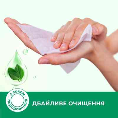 Влажные салфетки Smile Antibacterial с соком подорожника 100 шт. (4823071636741) Винница