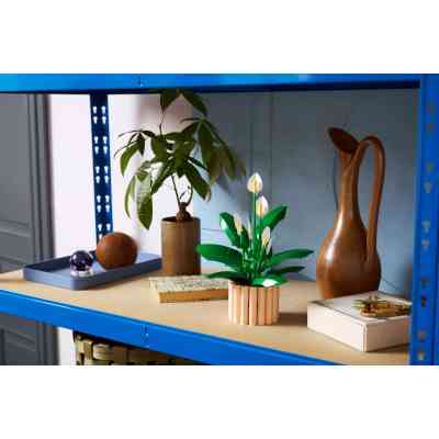 Конструктор LEGO Botanicals Спатифиллум (11504) Винница