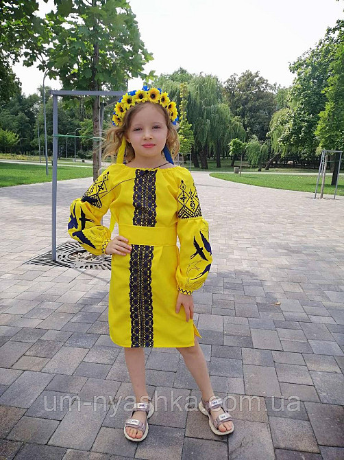 Дитяча вишита сукня з ластівками 104-152 Кривой Рог - изображение 5