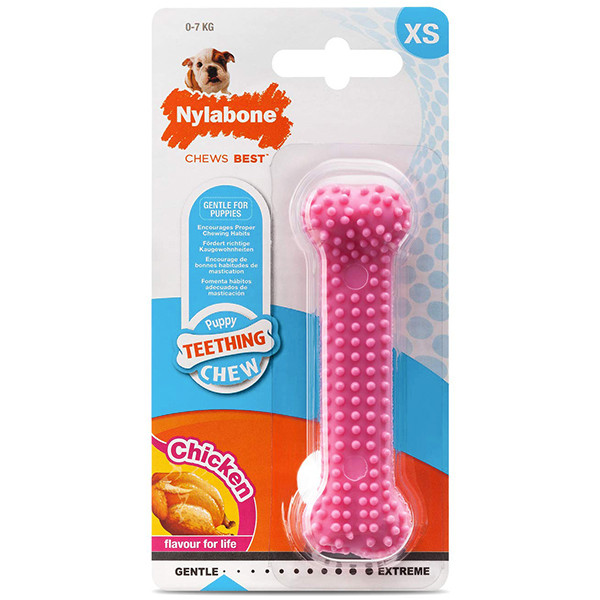 Nylabone Puppy Chew Dental Bone НИЛАБОН ДЕНТАЛ БОУН жевательная игрушка кость для щенков, вкус курицы Киев - изображение 1