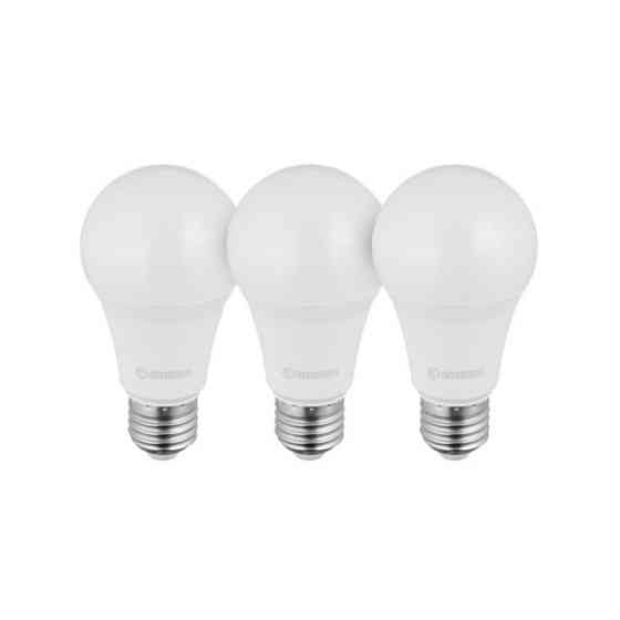 Лампи світлодіодні, набір 3 од., LL-0017, LED A60, E27, 15 Вт, 150-300 В, 4000 K, 30000 год, гарантія 3 роки INTERTOOL LL-3017 Київ