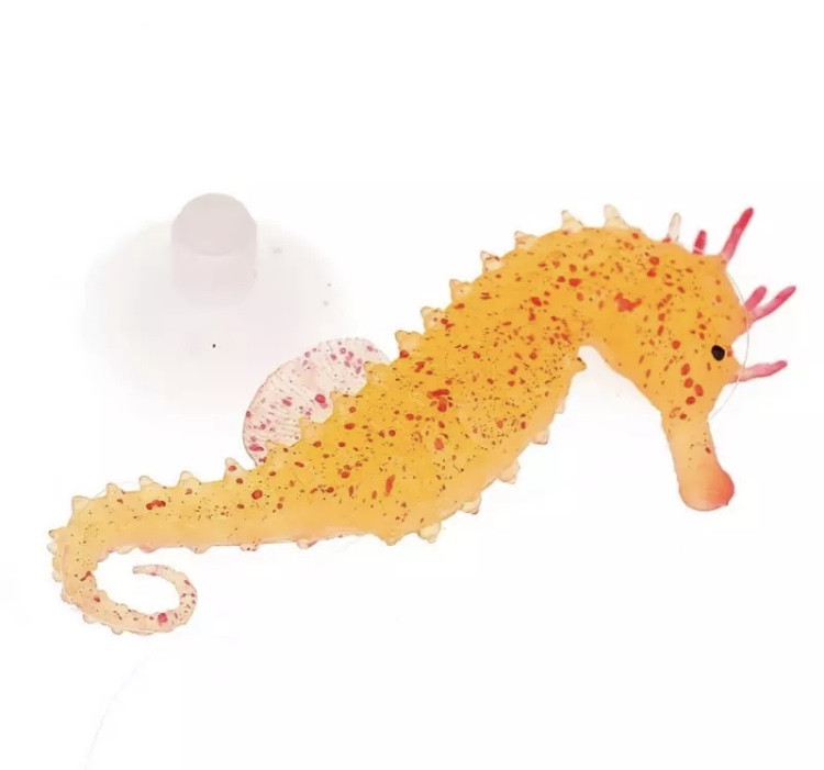 Морской конек желтый, силиконовый и люминисцентный (светящийся )декор в аквариум - размер 10*5 см Киев - изображение 1