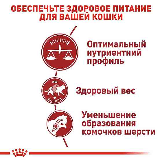 Royal Canin FIT 32 (Роял Канін Фіт 32) сухий корм для дорослих кішок від 12 місяців до 7 років Запоріжжя