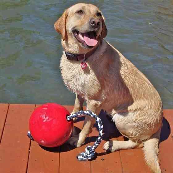 Jolly Pets ROMP-N-ROLL (Джолли Пэтс Ромп-н-Ролл) игрушка мяч с веревкой для собак Запорожье