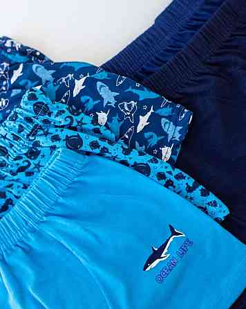 Набір підліткових боксерів на хлопчика з 5 шт. Tom John 541305 12-13 Київ