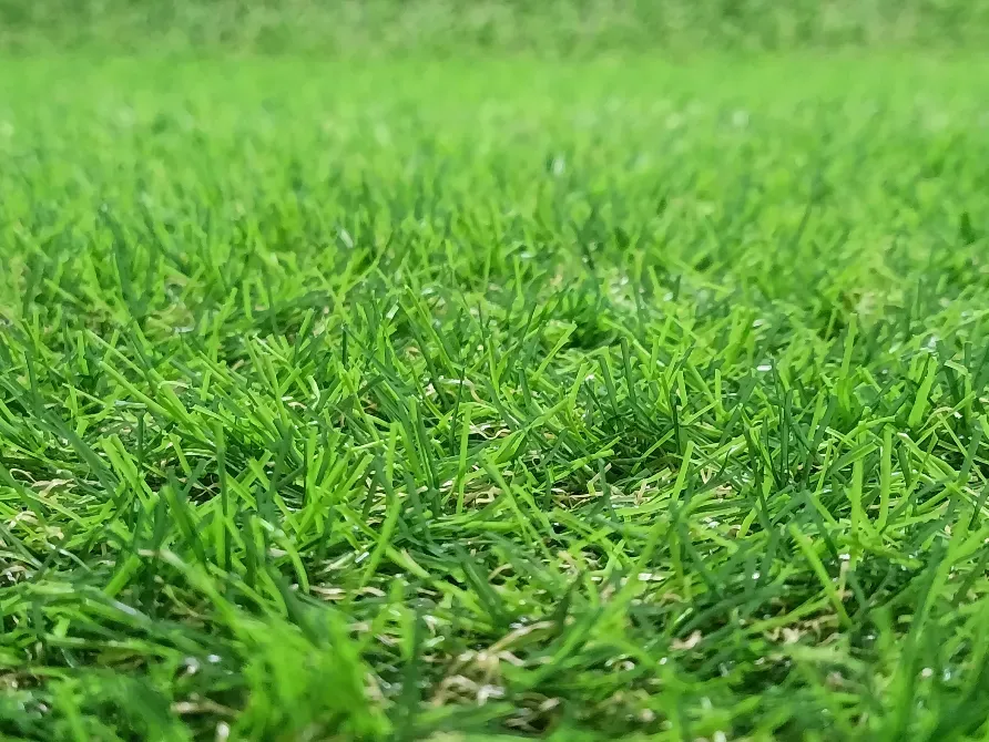 Искусственная газона Landgrass 20 Каменское - изображение 4