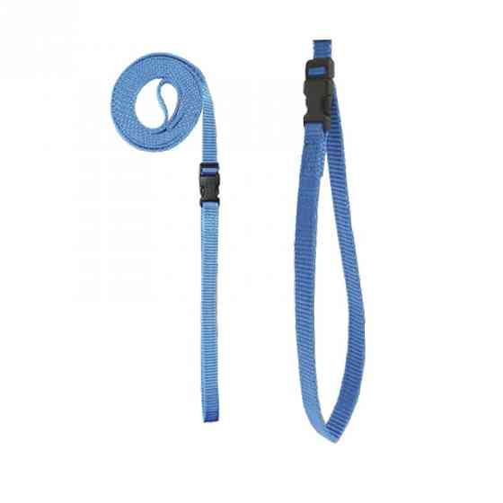 731 Повідець-нашийник "НЕЙЛОН" прогулянковий Вінниця