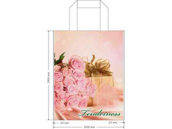 Пакет ламинированный с петлевой ручкой маленький 