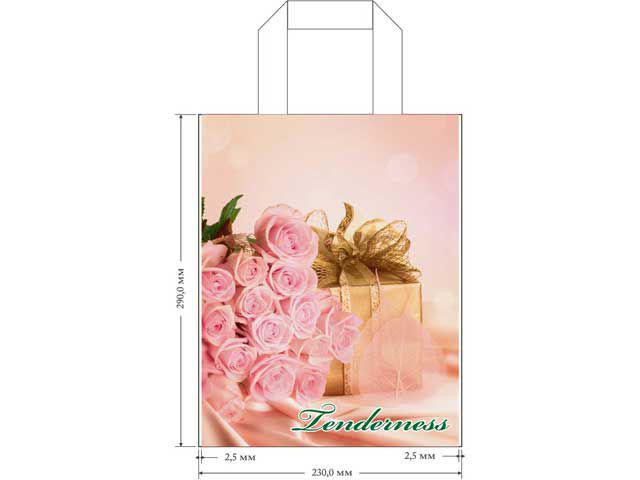 Пакет ламинированный с петлевой ручкой маленький 