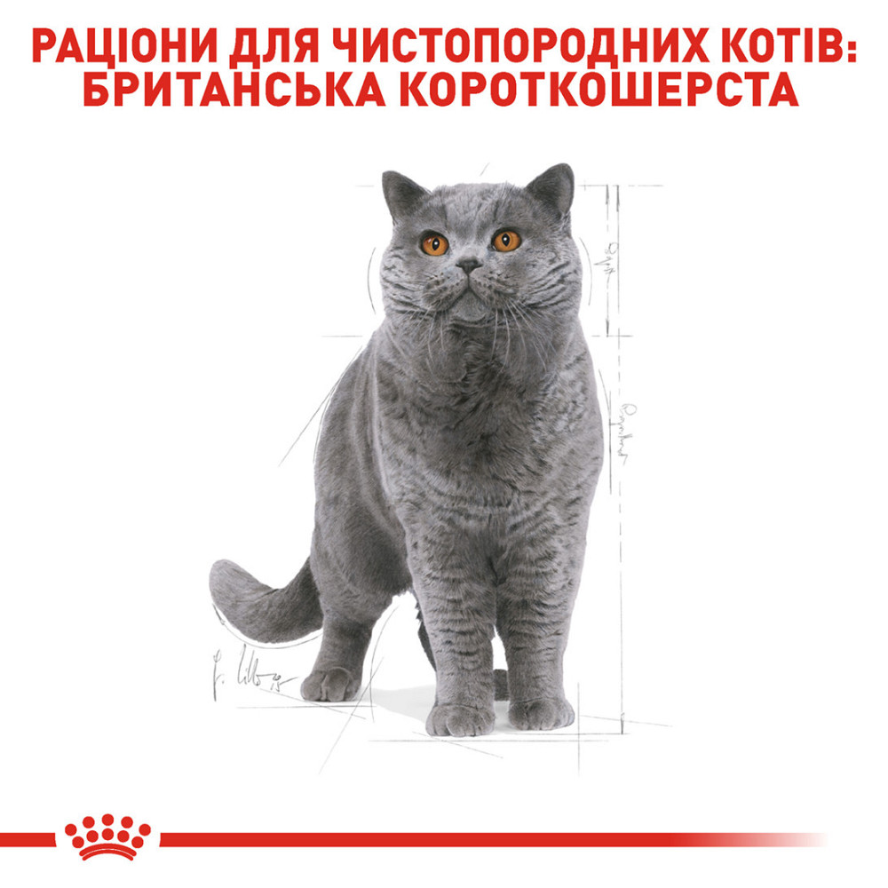 Корм для дорослих котів ROYAL CANIN BRITISH SHORTHAIR ADULT 10.0 кг Київ - фото 3