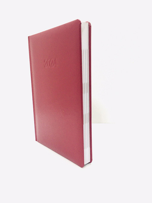 Щоденник А5 Economix датований 2024 стор. 336 Бордовий (21691-03) Чернигов - изображение 2