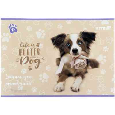 Альбом для рисования Kite Rachael Hale, 12 листов (R25-241) Винница