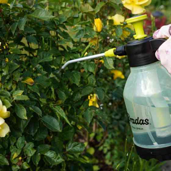 Пневматический опрыскиватель 1,5л, AQUA SPRAY CLEAR, AS0150CL Киев