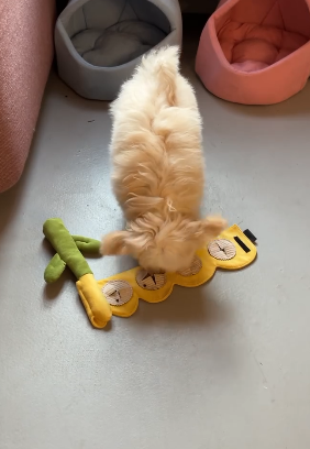 Іграшка для собак квітка тюльпан Happy Peppy (Хеппі Пеппі) з отворами для корму Жовтий Запоріжжя