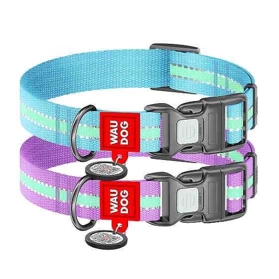 Нашийник для собак нейлоновий WAUDOG Nylon з QR паспортом, світлонакопичувальний/світловідбивни Коломыя