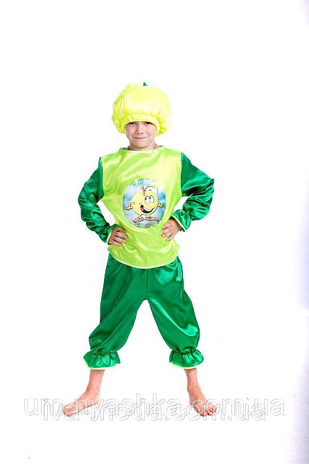 Яблуко Костюм яблука Кривий Ріг - фото 3