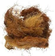 Куккрудзяні рильця, 100г. Київ - фото 1