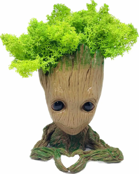 Кашпо горщик зі стабілізованим мохом Грут Groot G2 Київ - фото 1