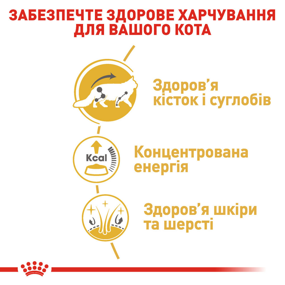 Вологий корм для дорослих котів ROYAL CANIN MAINECOON ADULT 0.085 кг Київ - фото 5