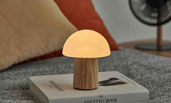 Светильник на аккумуляторе Gingko Alice Mushroom Lamp Mini Белый пепел Киев