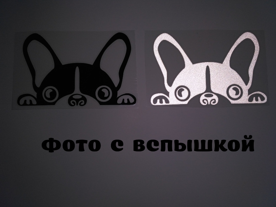 Наклейка на авто Собака светоотражающая Тюнинг авт Киев - изображение 3