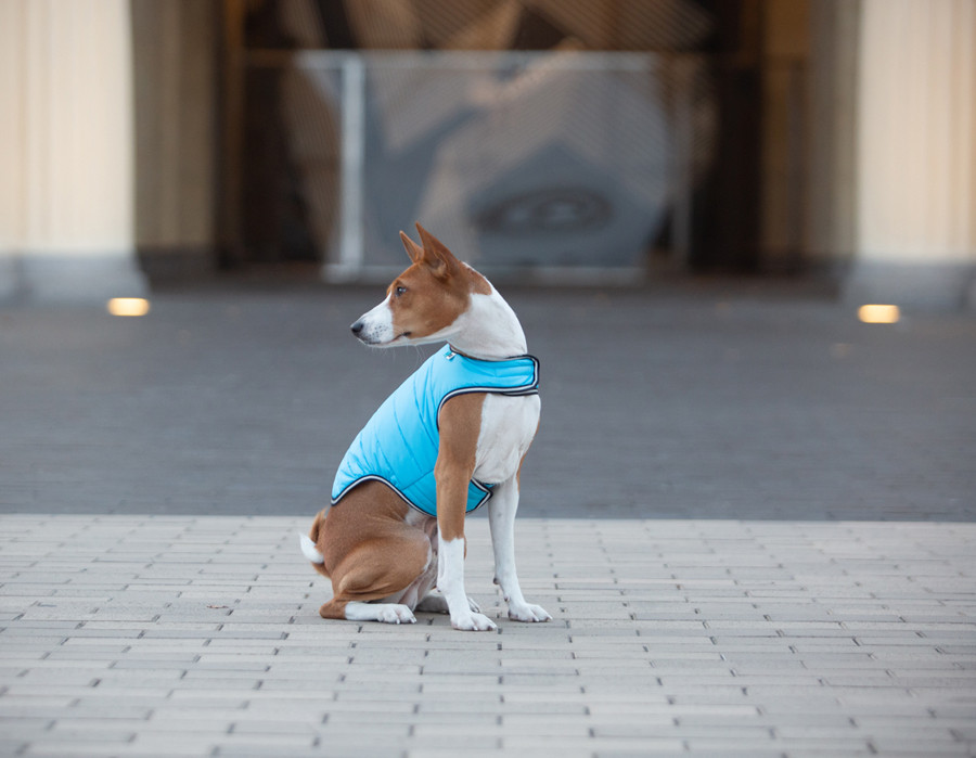 Куртка-накидка для собак AiryVest, L, B 58-70 см, С 42-52 см блакитний Коломыя - изображение 4