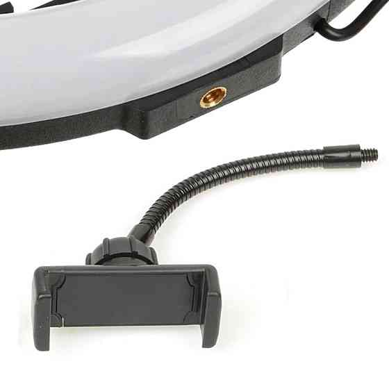 Кільцева світлодіодна LED лампа QX300, 30 см з тримачем для телефону Киев