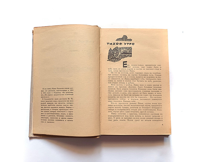 Книга Блакитне та зелене Ю. Казаків Київ - фото 2