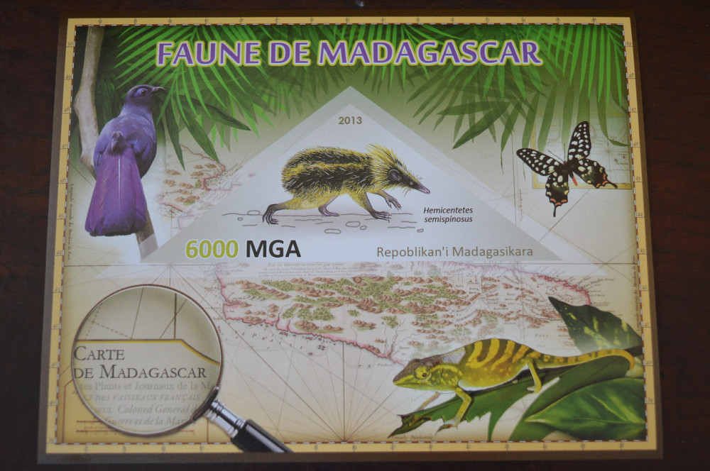 Мадагаскар. Фауна. Личности. Блок. 2014 р. (А-34) Полтава - фото 1