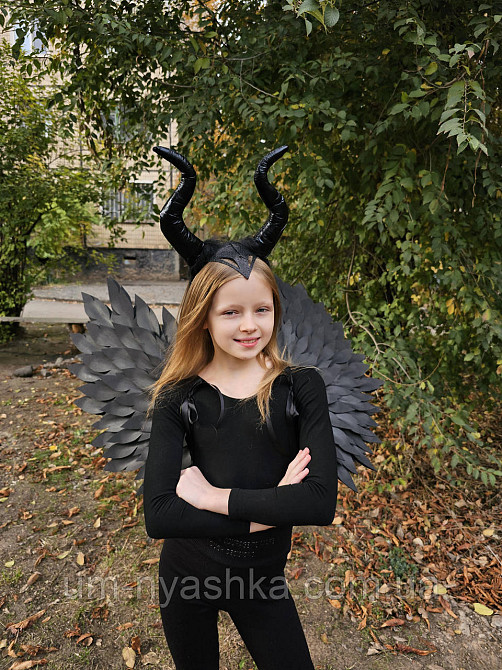 Чорні Крила великі Кривий Ріг - фото 7