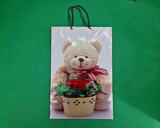 Большой бумажный пакет вертикальный  25/37/8(артBV-027) (12 шт) Харьков