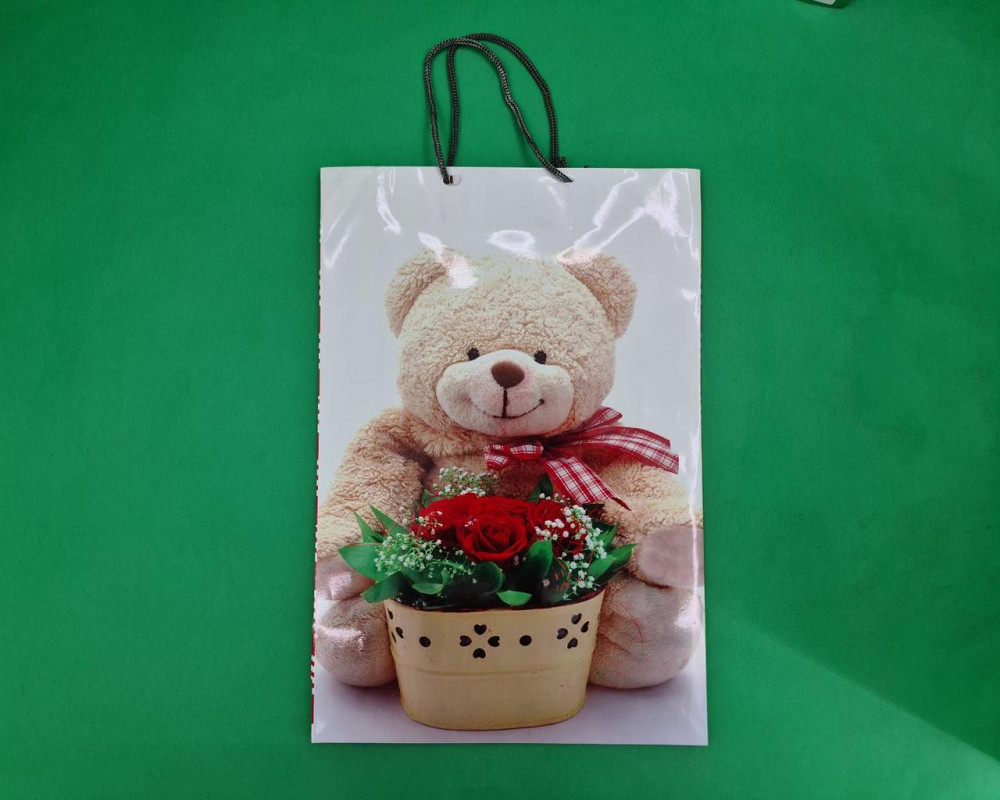 Большой бумажный пакет вертикальный  25/37/8(артBV-027) (12 шт) Харьков - изображение 4