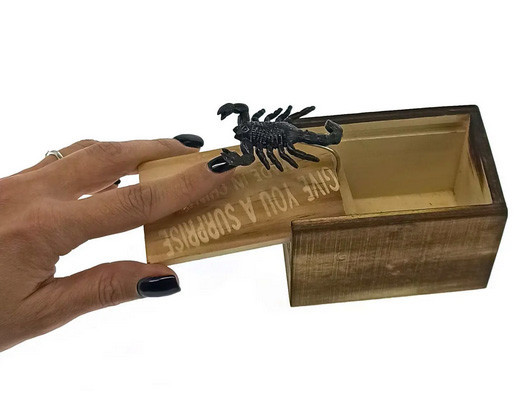 Іграшка прикол Скорпіон у коробці Київ - фото 1