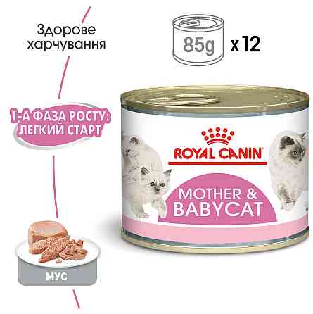 Влажный корм (мусс) для котят в возрасте от 1 до 4 месяцев ROYAL CANIN MOTHER & BABYCAT Cans 0.195 кг Киев