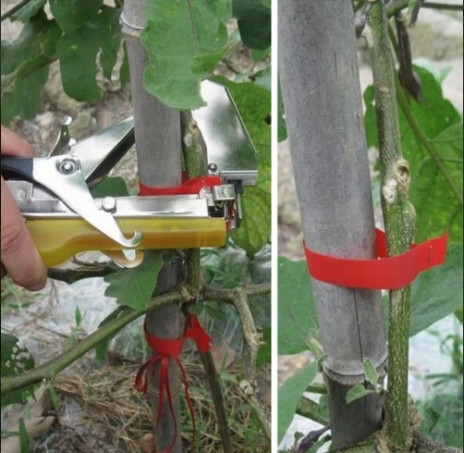 Степлер Тапенер Tapetool для подвязки садовых и огородных растений Киев - изображение 8