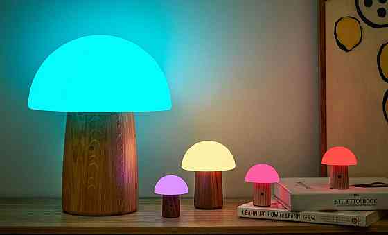 Світильник на акумуляторі Gingko Alice Mushroom Lamp Mini, білий попіл | G022AH2 Вінниця