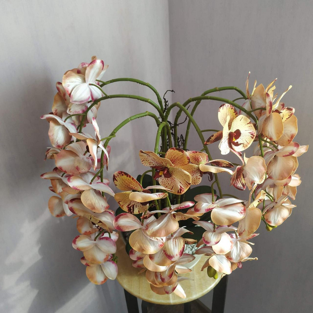 Штучна латексна орхідея VIP у бежевому керамічному кашпо на п'ять гілок кремово-бордова Дніпро - фото 5