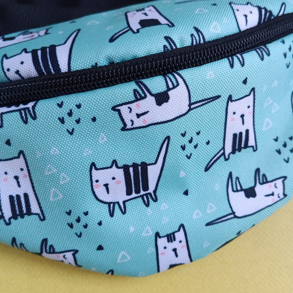 Сумка дитяча банка поясна сумка Київ - фото 2